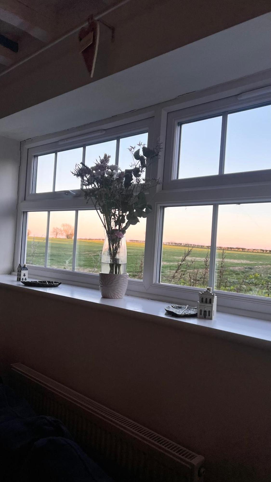 Poplar Farm Annexe Chalet